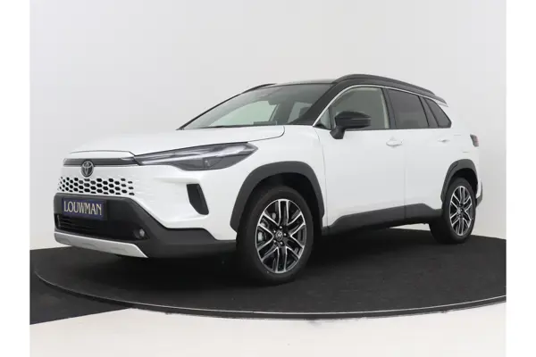 Hybrid 180 Executive
