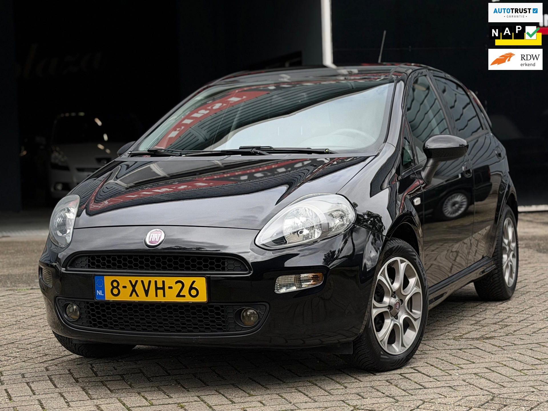Fiat Punto Evo 0.9 TwinAir Lounge CRUISE/ISOFIX/PDC/AIRCO | KEURIGE AUTO !