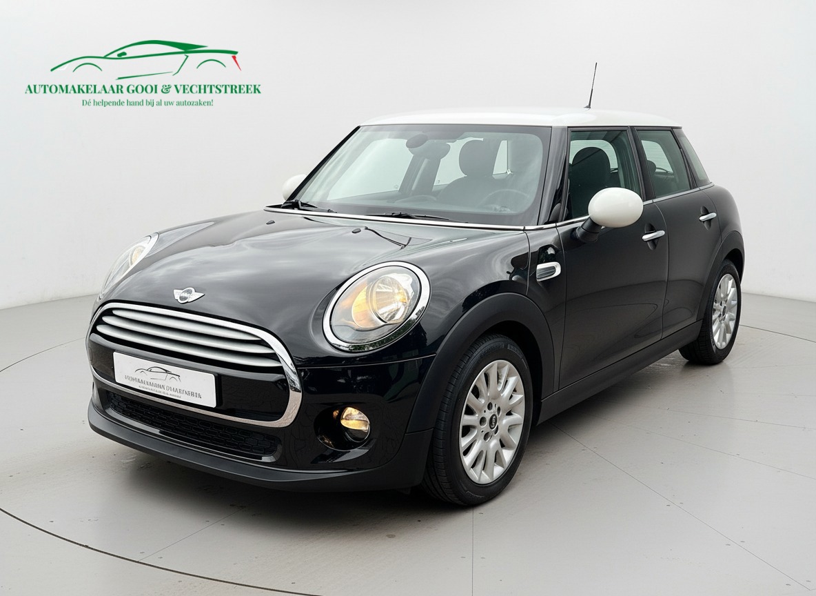 Mini Mini 1.5 Cooper Pepper - Navi Prof - Sfeer - PDC