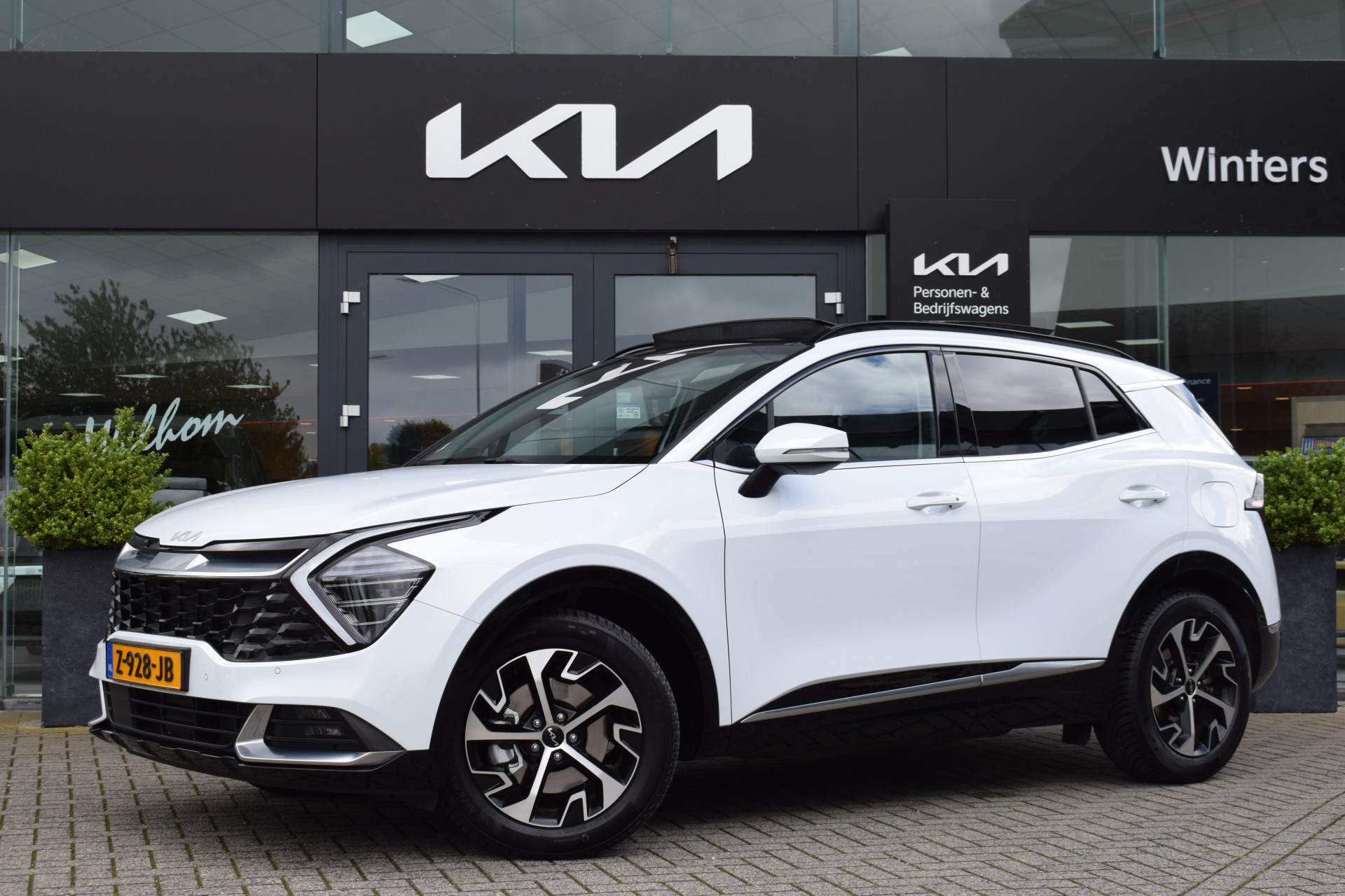 Kia Sportage 1.6 T-GDi Hybrid DynamicPlusLine