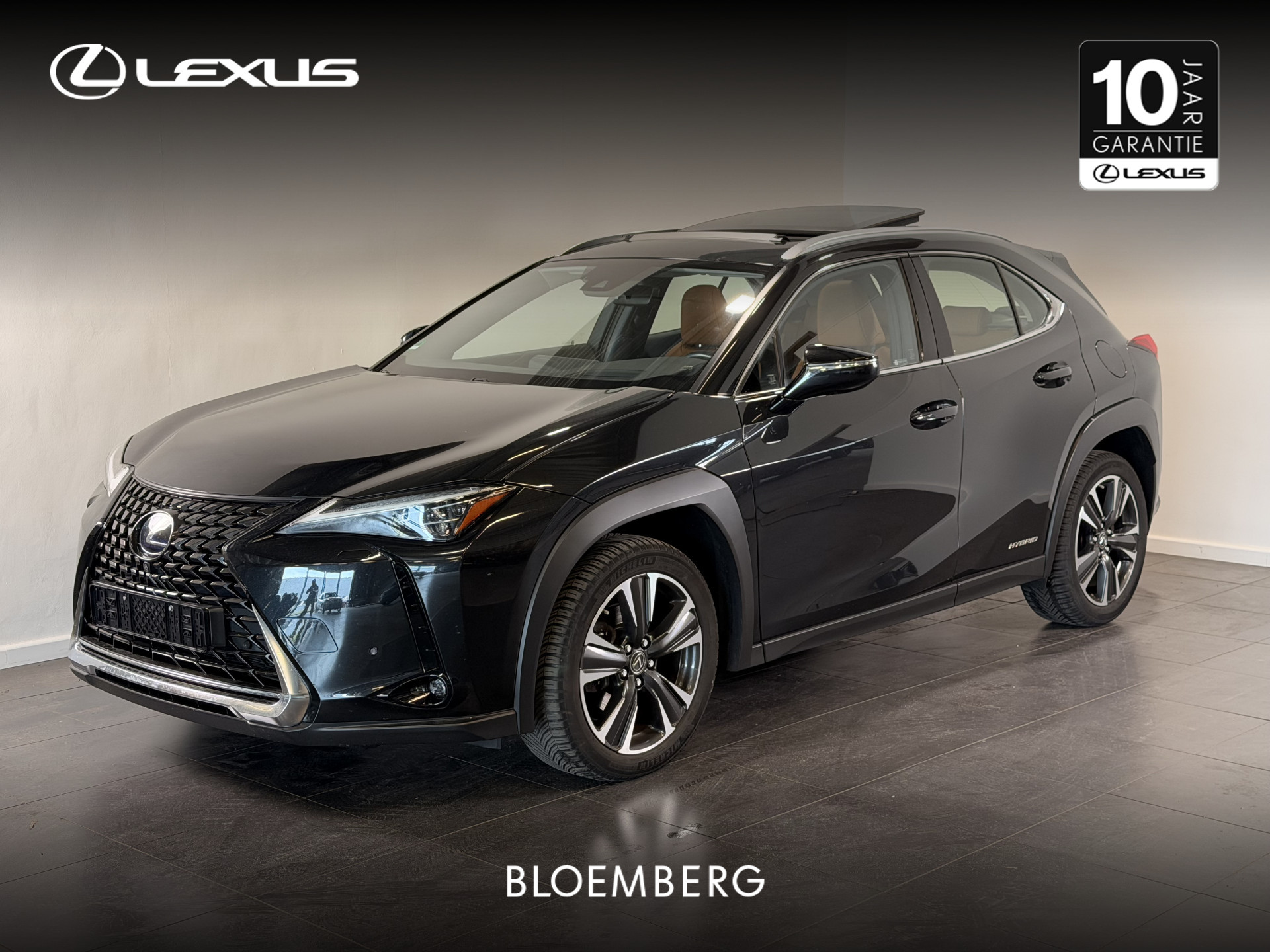 Lexus UX 250h Executive Line