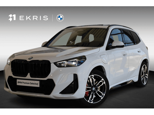 xDrive25e