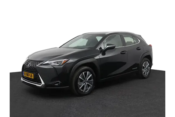 UX 300E Business 54 Kwh
