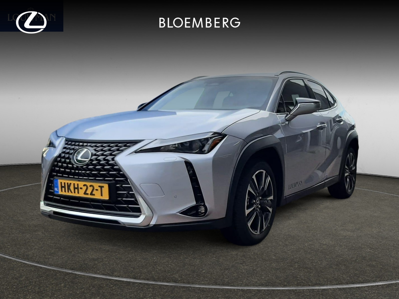 Lexus UX 300h Business Line