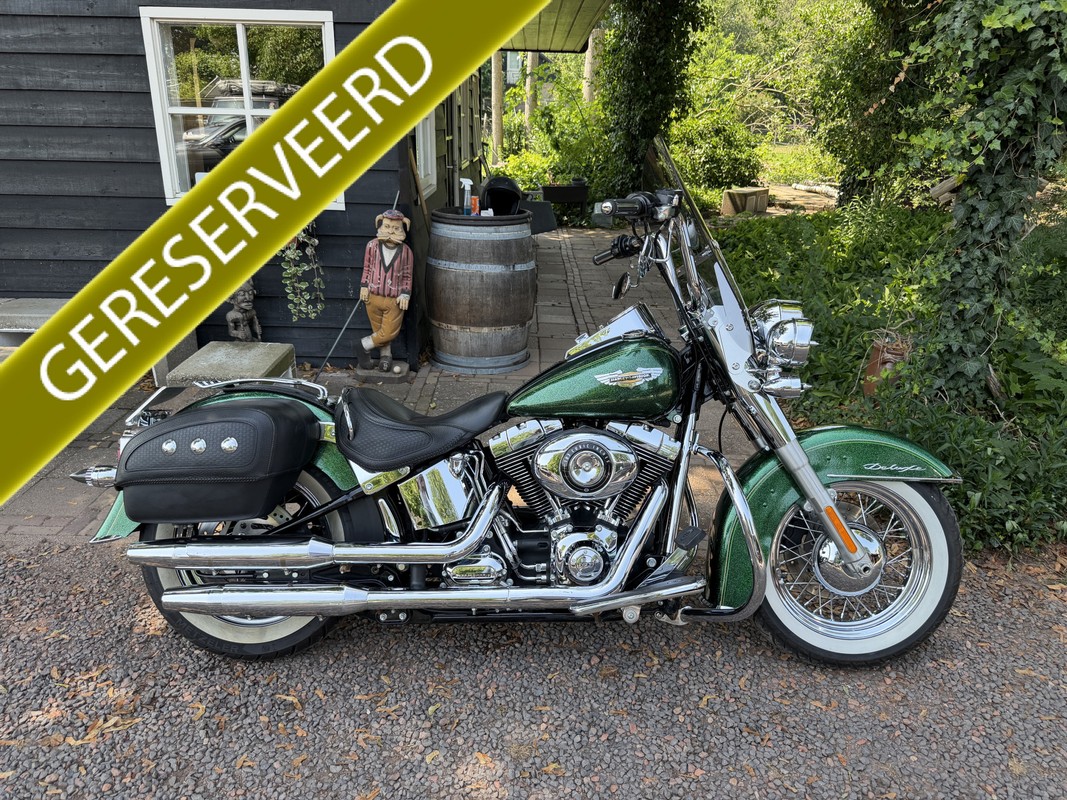 Harley-Davidson Softail 103 FLSTN Deluxe Anniversary!