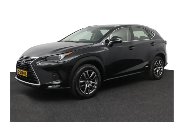 NX 300H Awd Edition 30