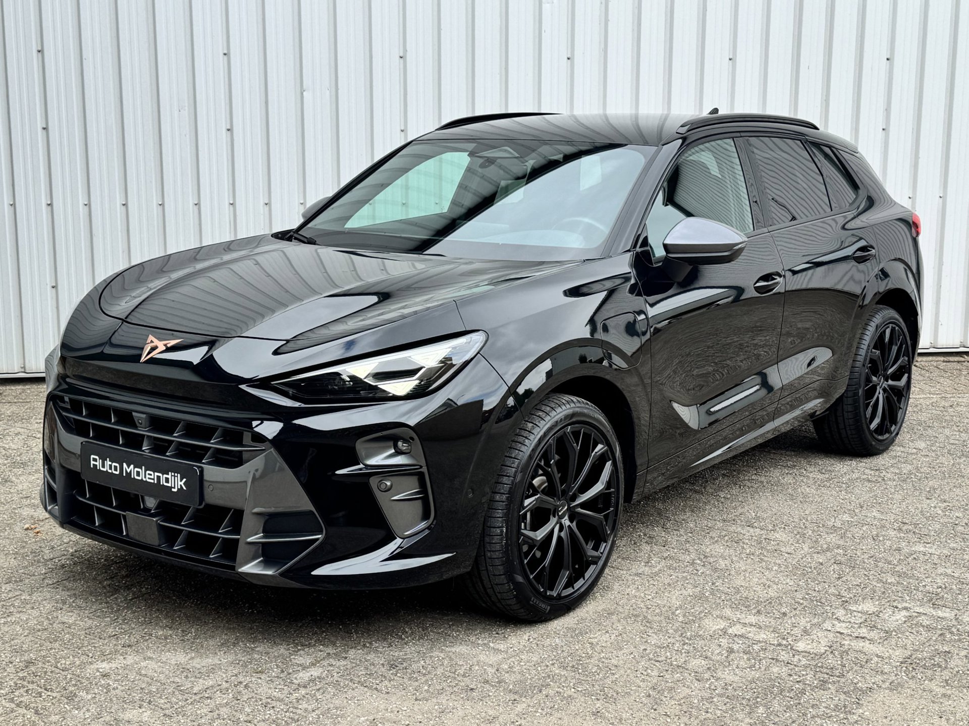 Cupra Terramar 1.5 TSI e-Hybrid PHEV / Memory stoel / el. klep / 360 cam / 5jaar Garantie