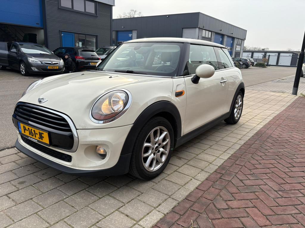Mini Mini 1.5 Cooper Salt
