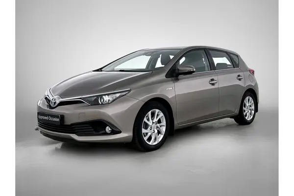 1.8 Hybrid Dynamic