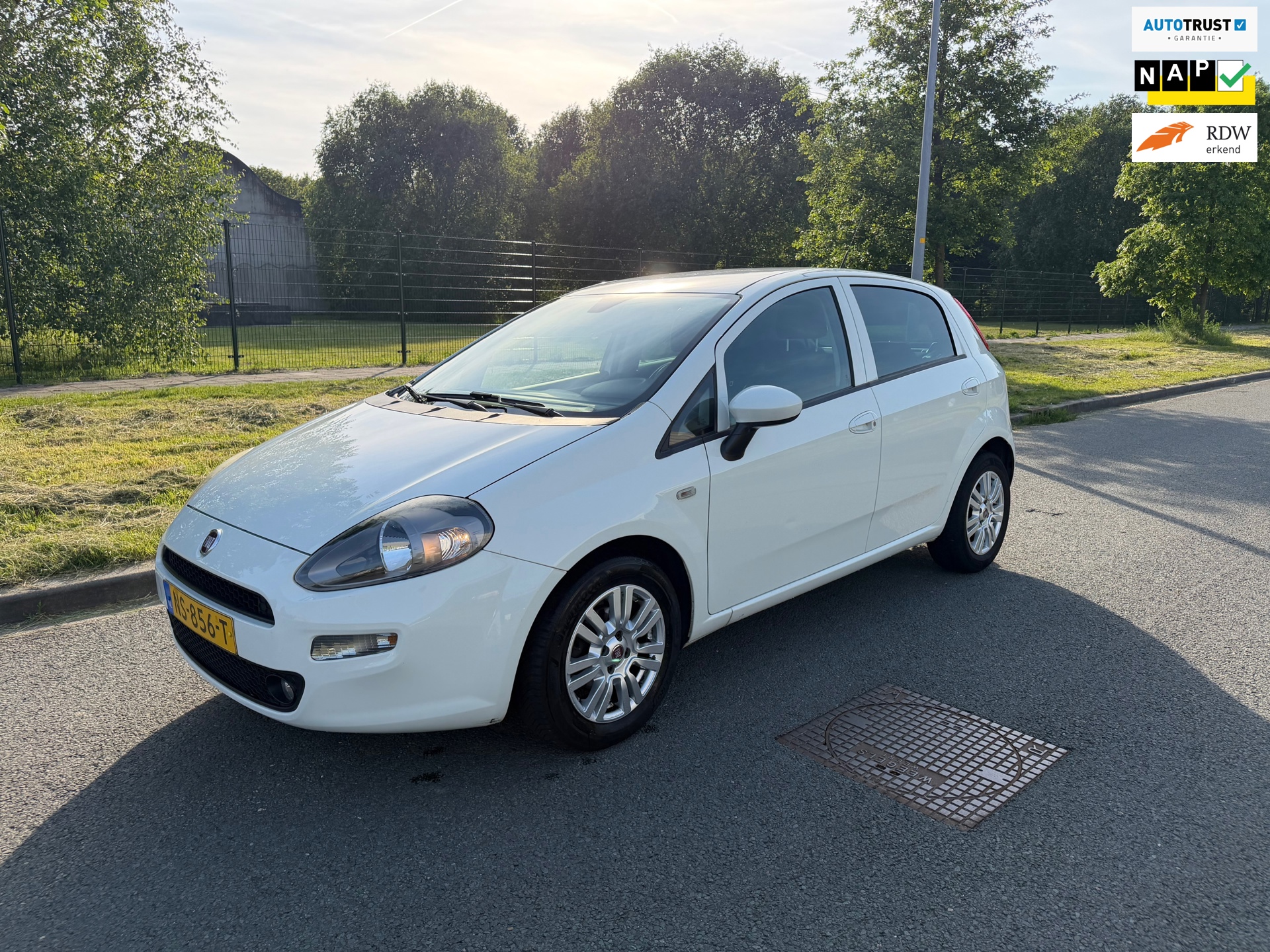 Fiat Punto Evo 0.9 TwinAir Lounge