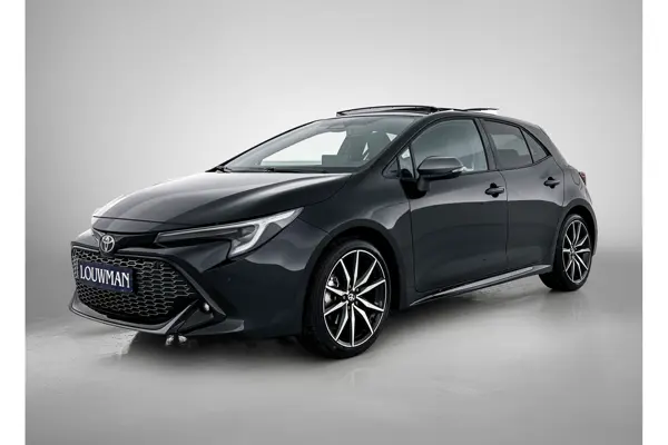Hybrid 180 Gr Sport