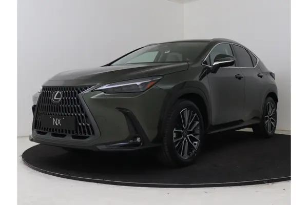 NX 450H+ Awd President Line