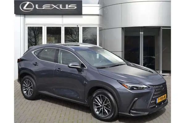 NX 350H