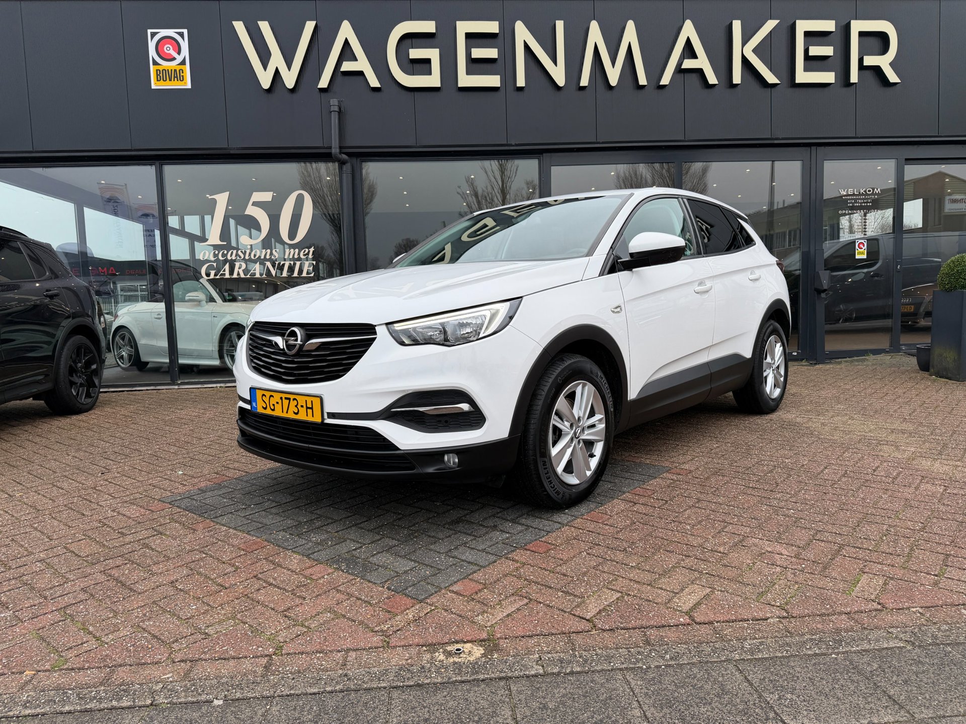 Opel Grandland X 1.2 Turbo Online Edition NAVI|Cruise|DealerOH