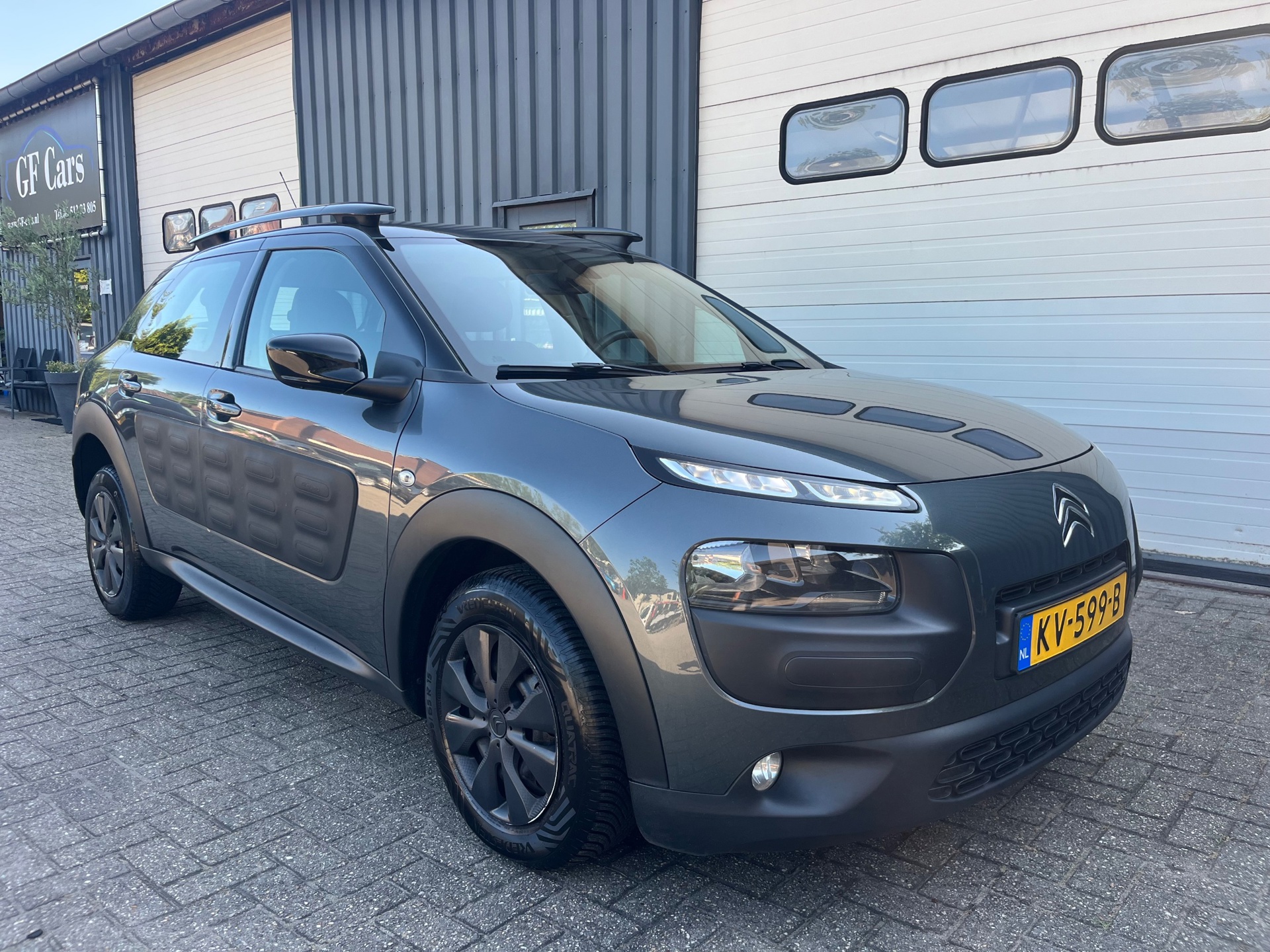 Citroën C4 Cactus 1.6 BlueHDi Business 2016 NAP