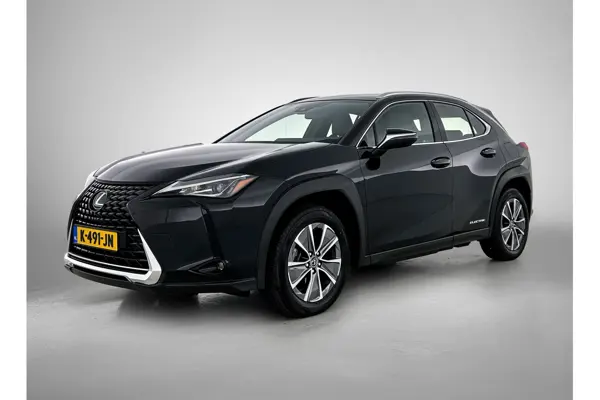 UX 300E Business 54 Kwh
