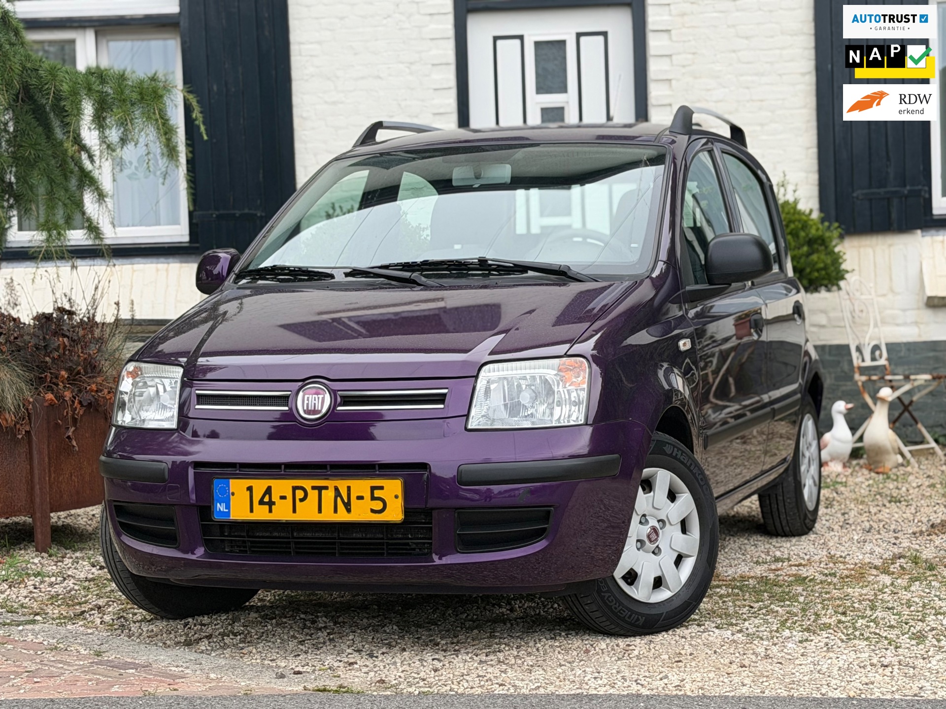 Fiat Panda 1.2 Edizione Cool|Elek-ramen|Airco|