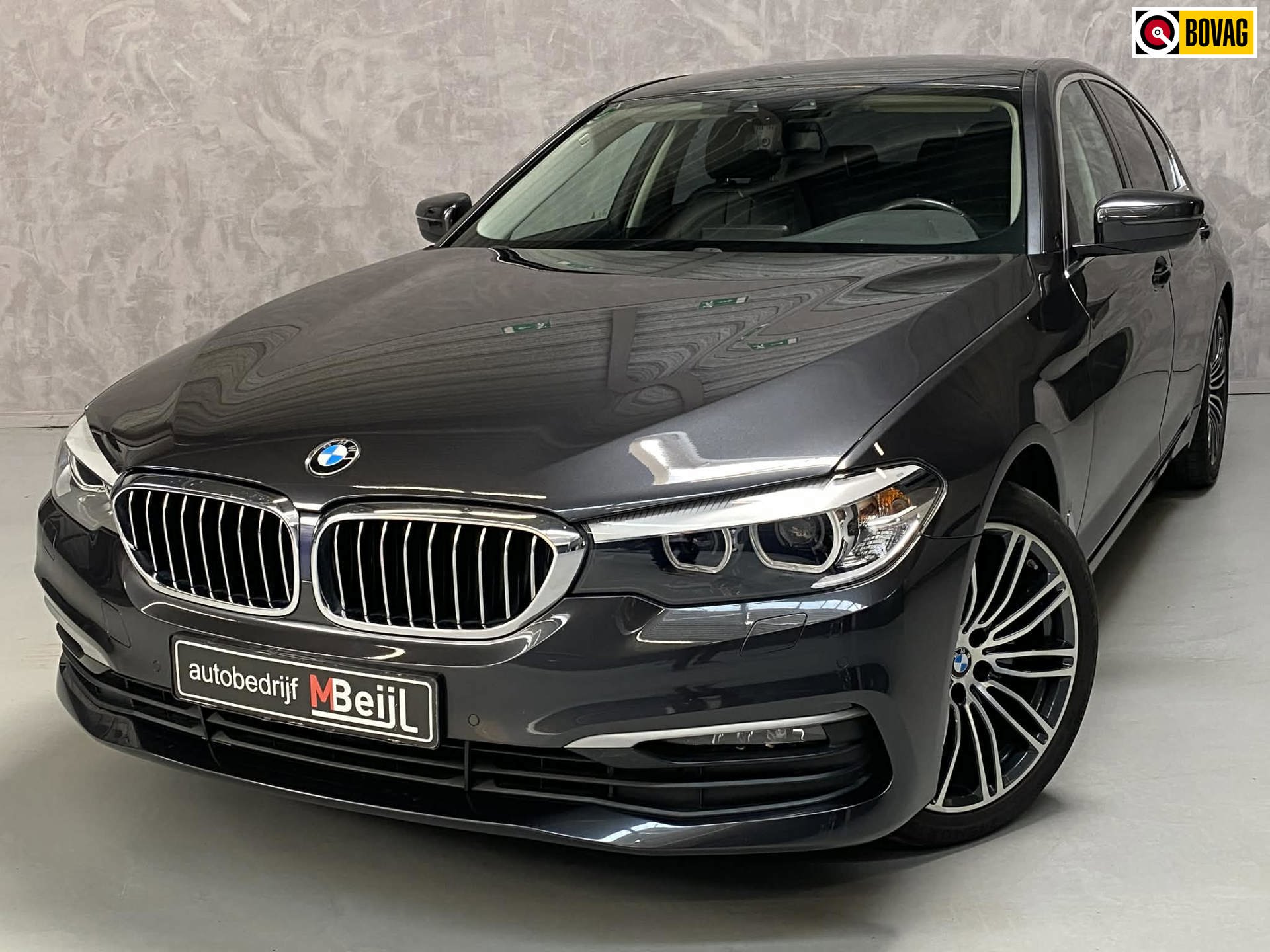 BMW 5-serie 520i Executive /Led /Trekhaak /Leder