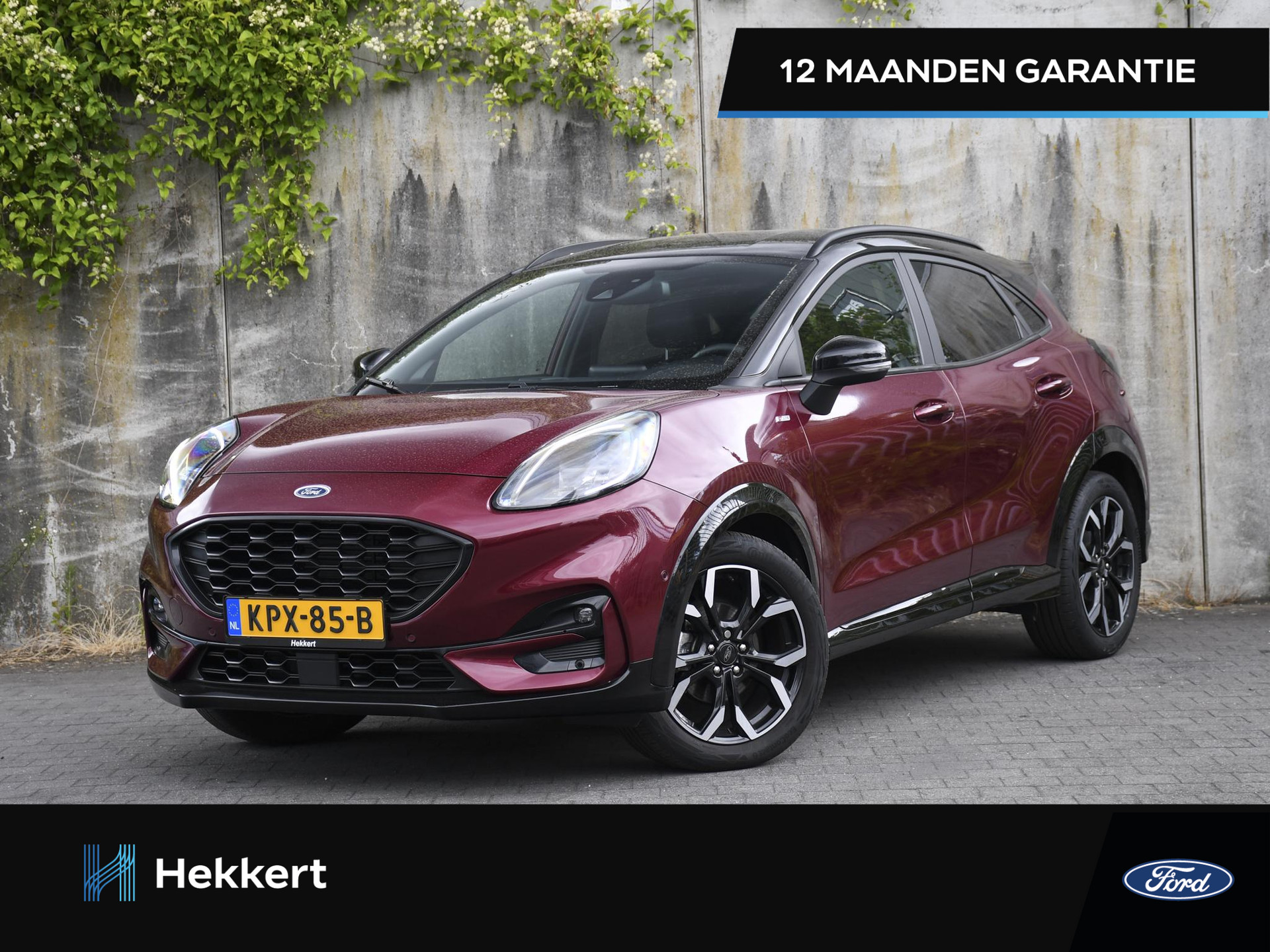 Ford Puma ST-Line X Vived Ruby Edition 1.0 Ecoboost 125pk
