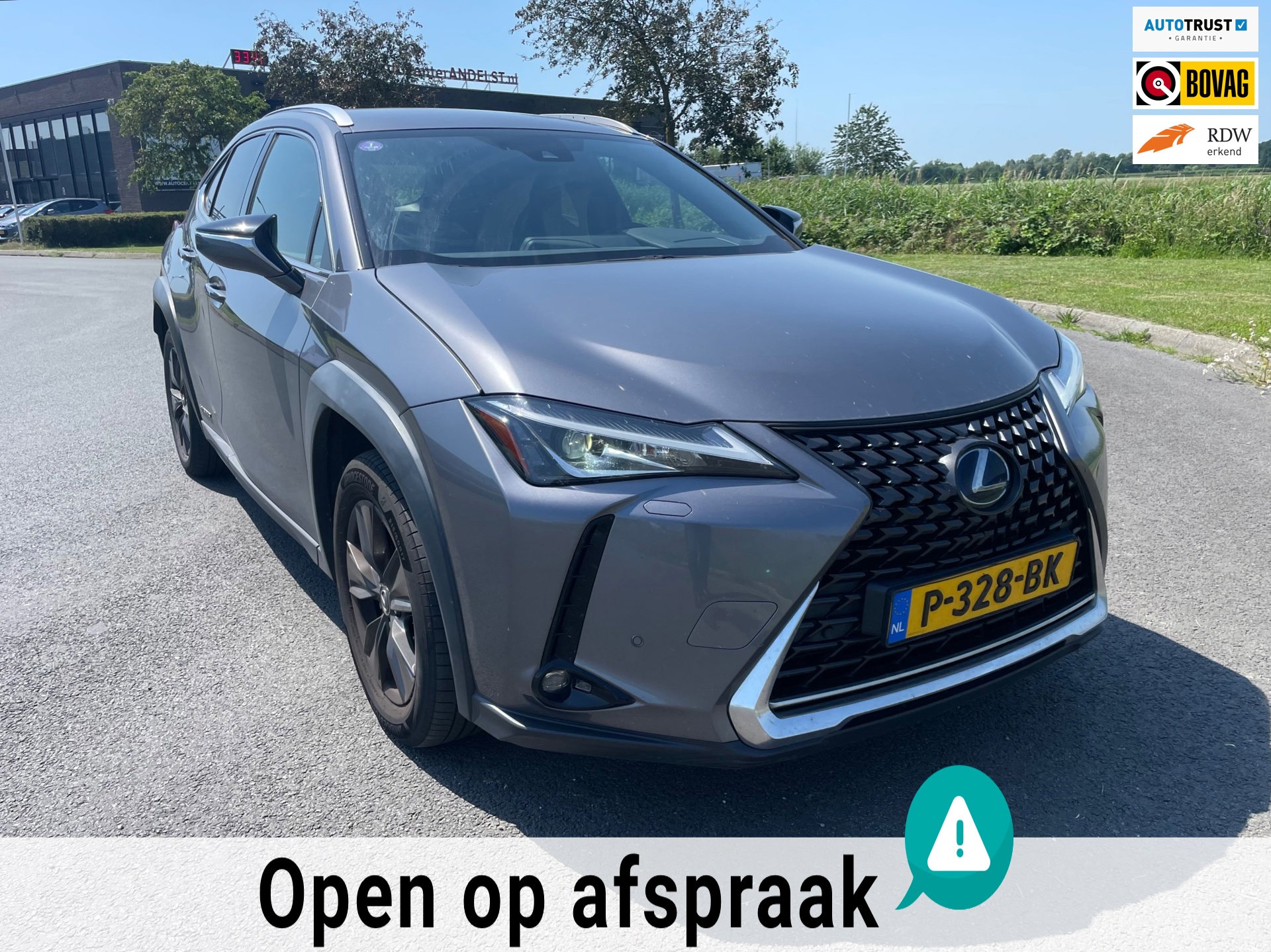 Lexus UX 250h Business Line, Aut, Acc, Stoelvrw, Navi, Pdc, Cam, Leder, LED, Bluetooth, Lmv, Goed oh!
