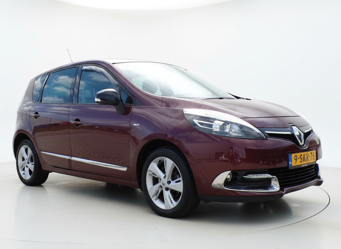 Renault Scénic 2.0 Bose Clima/Cruise/Navi/PDC!!