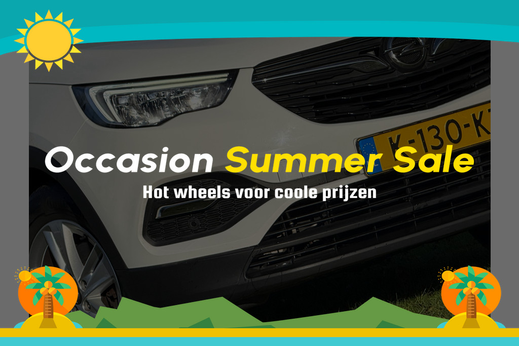 Opel Grandland X 1.2 Turbo Business Edition - Summit White - Camera/Carplay/Clima