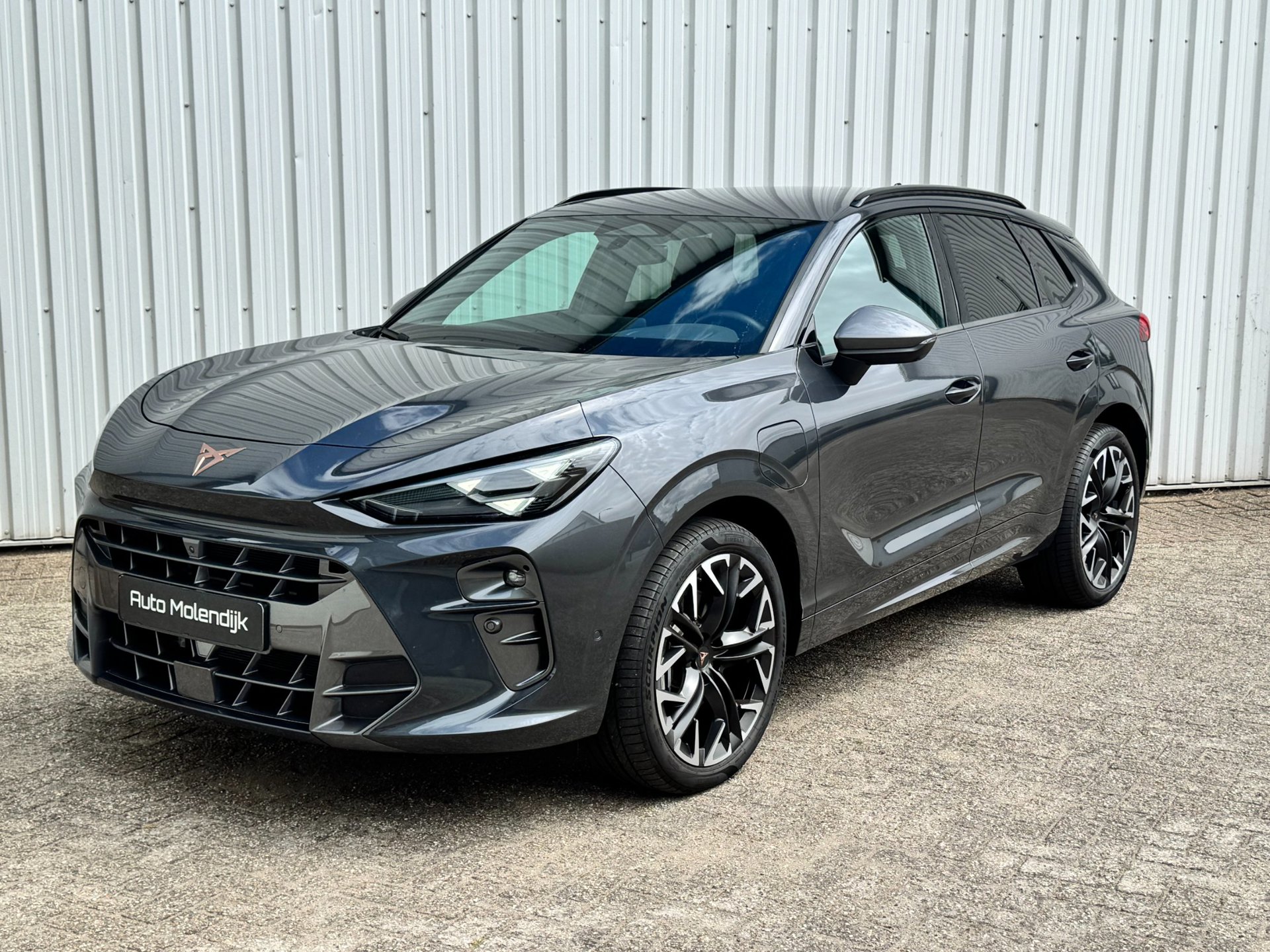 Cupra Terramar 1.5 TSI e-Hybrid / HuD / el klep / Alcantara / 360 cam / 5jaar Garantie