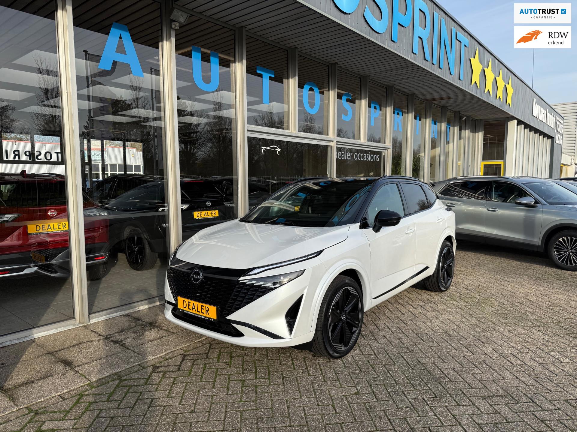 Nissan Qashqai 1.3 MHEV Xtronic N-Design Cold Pack 158PK / LEDER / ACHTERUITRIJCAMERA