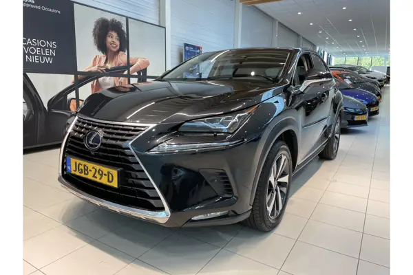 NX 300H Awd President Line