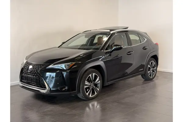 UX 250H Executive Line