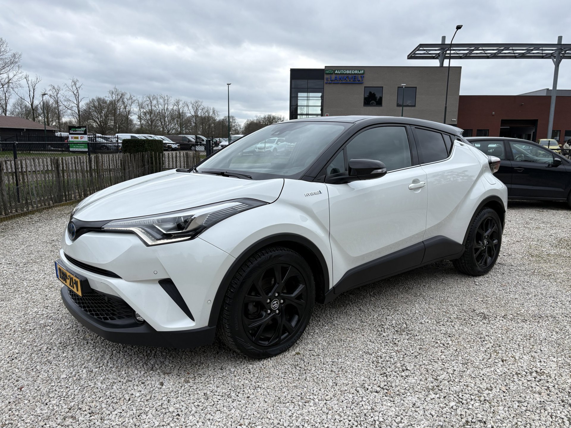Toyota C-HR 1.8 Hybrid Executive LED, ACC, Stoelverw, Dealer onderh.