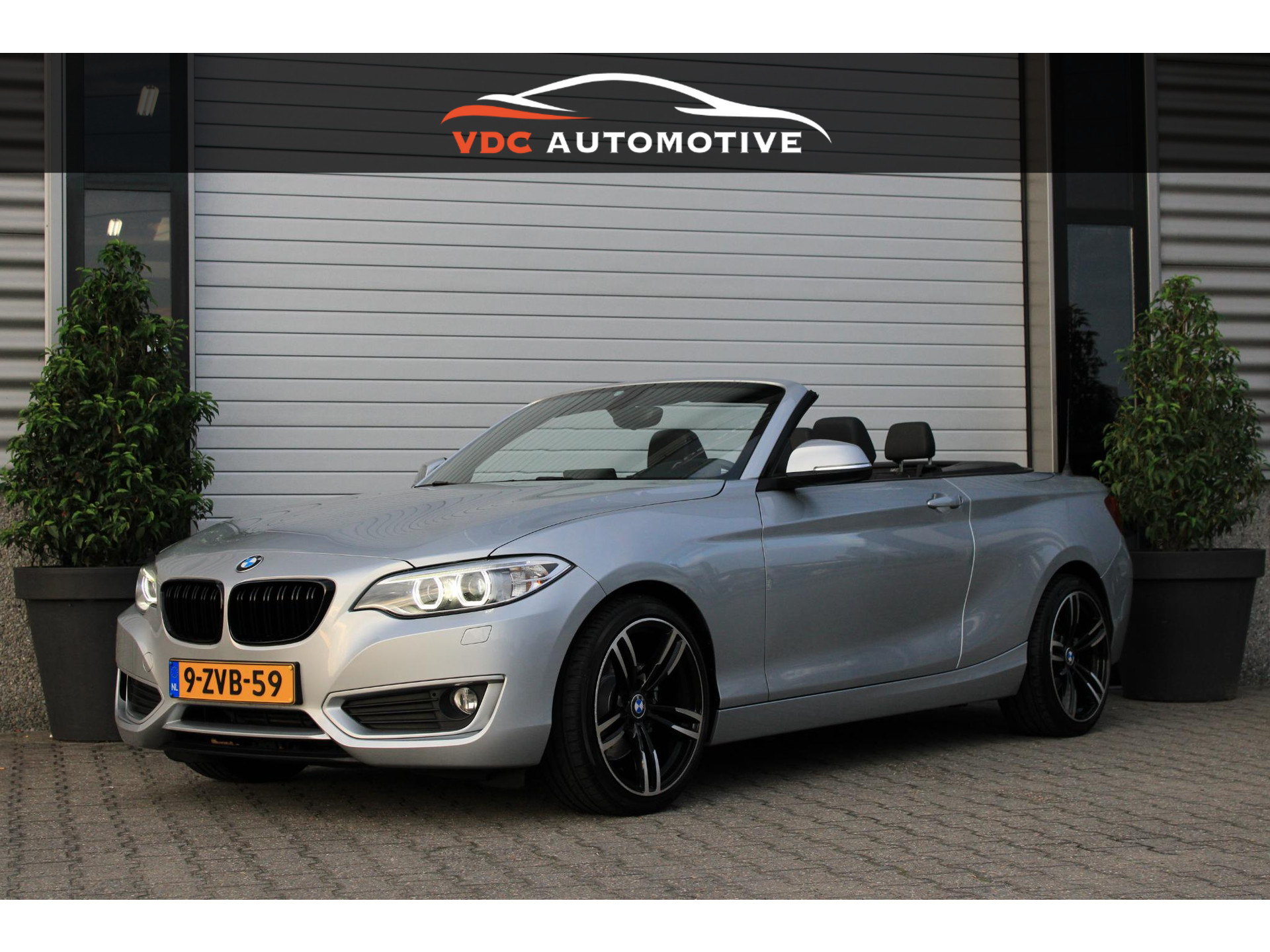 BMW 2 Serie Cabrio 220i