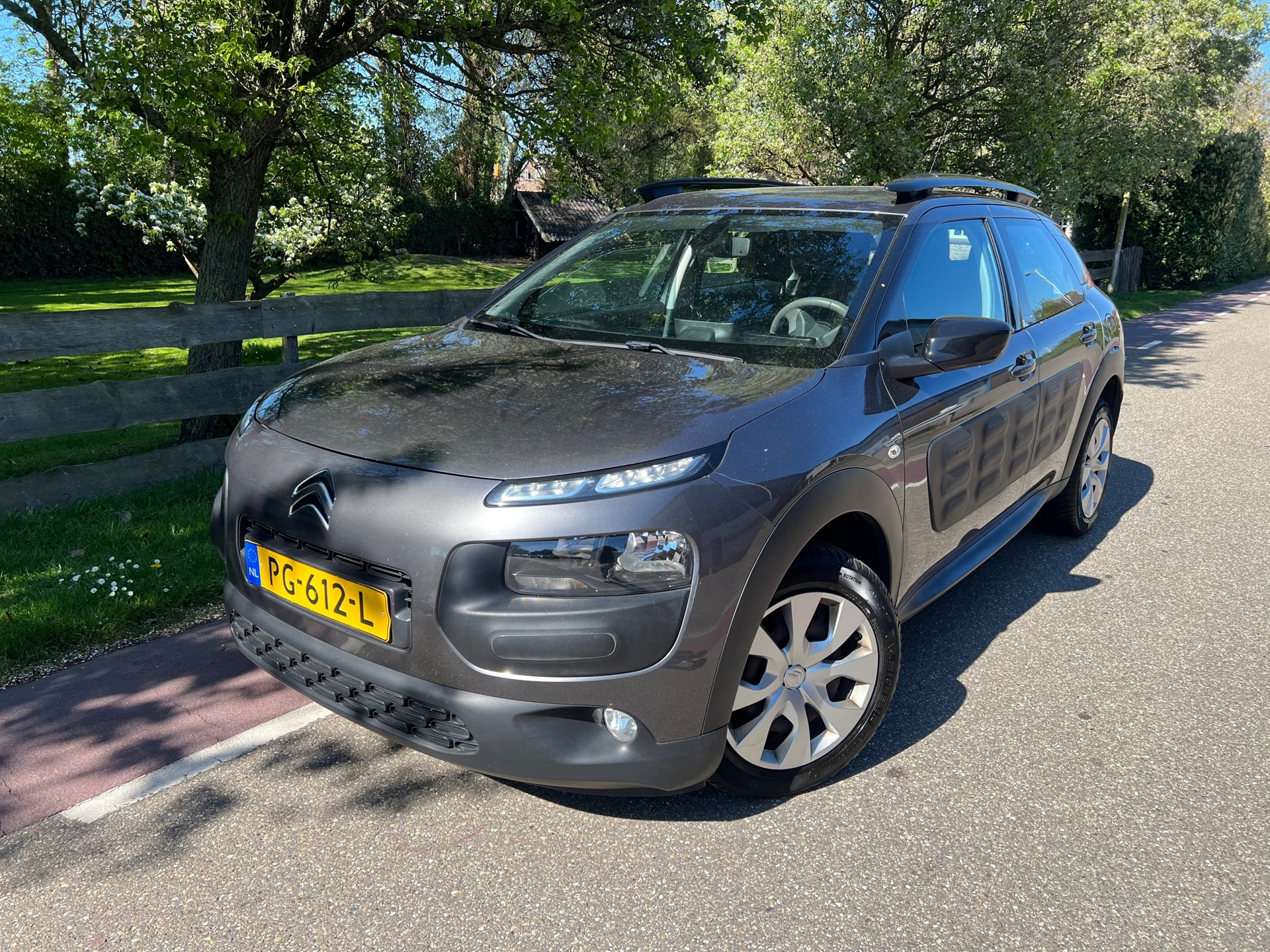 Citroën C4 Cactus 1.2 PureTech Business Navi PDC