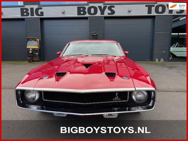 Ford SHELBY GT 350 Fastback