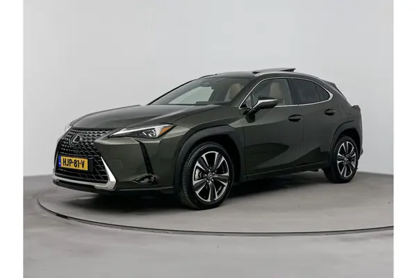 UX 300h Luxury Line