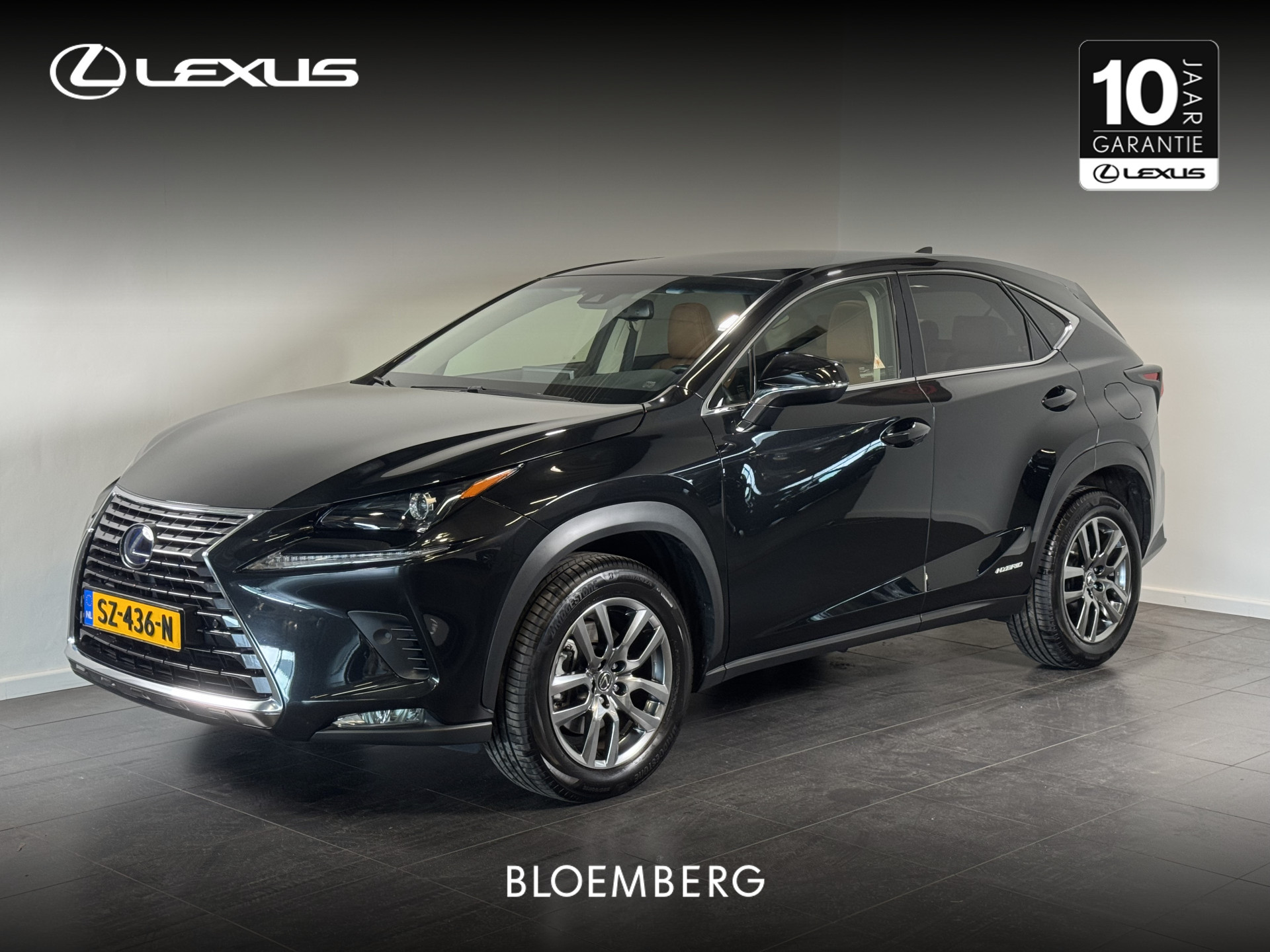 Lexus NX 300h AWD Luxury Line