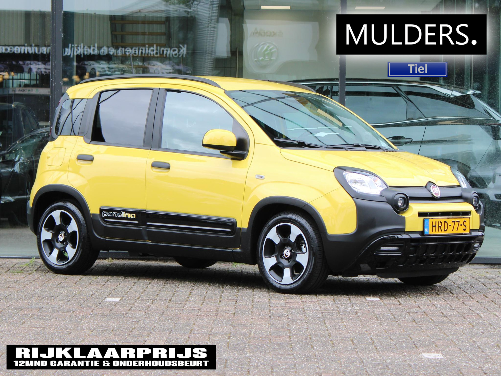 Fiat Panda 1.0 Hybrid Pandina