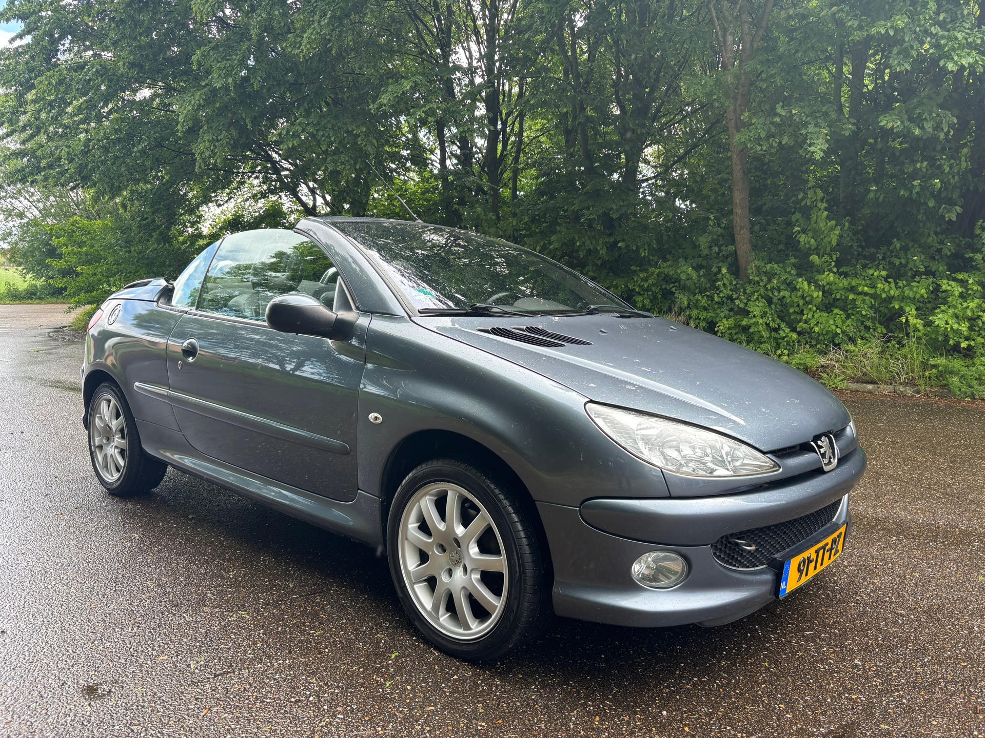 Peugeot 206 CC 2.0-16V Griffe | Leder | Clima