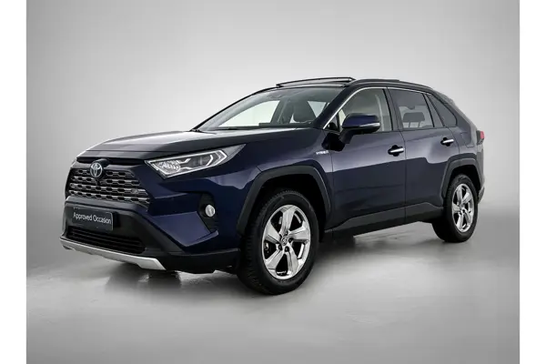2.5 Hybrid Executive
