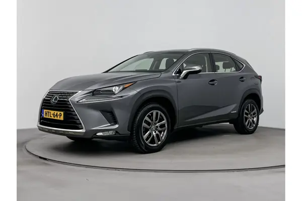 NX 300H Awd Business Line Pro