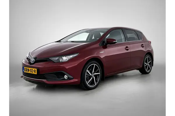 1.8 Hybrid Dynamic Go