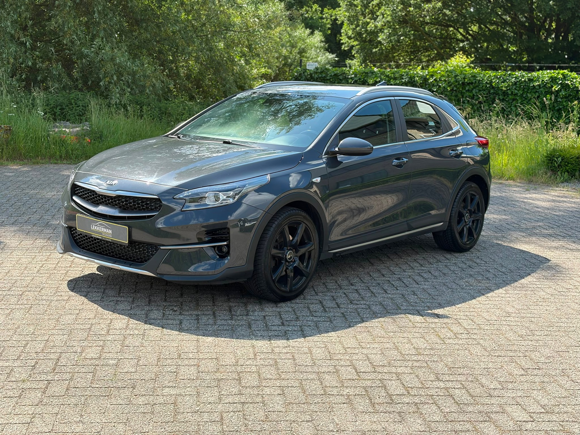Kia XCeed 1.0 T-GDi DYNAMIC CAMERA I CRUISE I NWE APK I LED I GOED ONDH