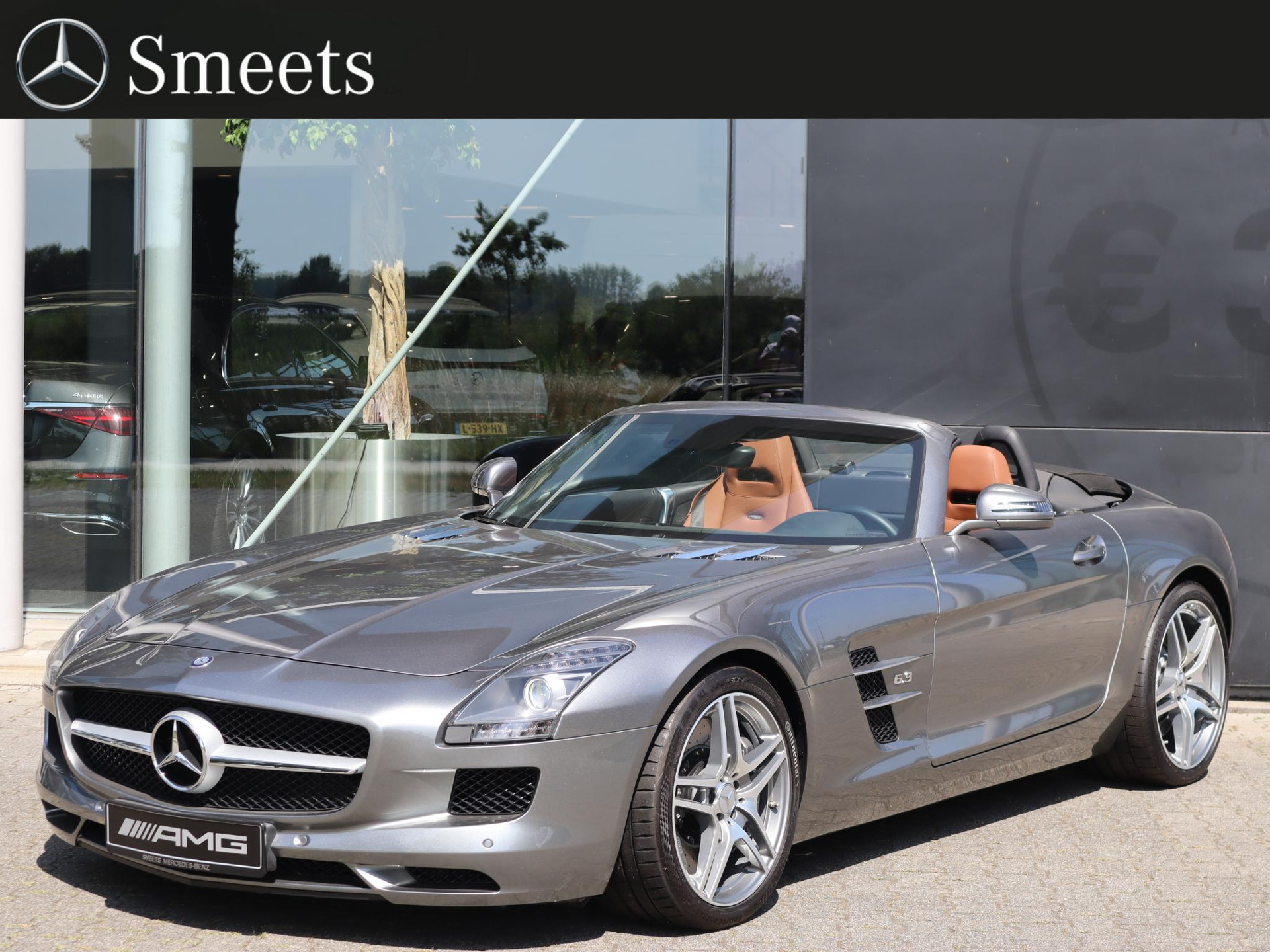 Mercedes-Benz SLS Roadster 6.3 AMG