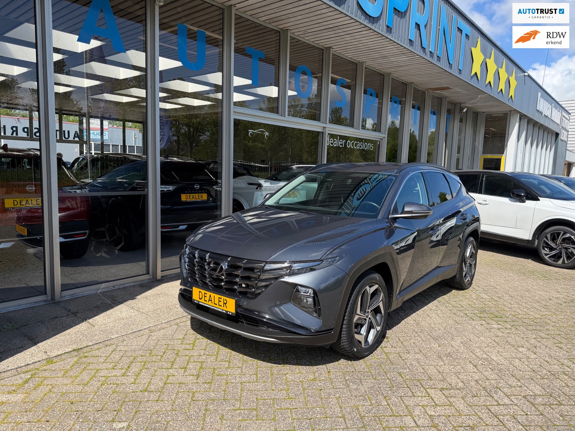 Hyundai Tucson 1.6 T-GDI MHEV Premium LEDER , 360 CAMERA , TREKHAAK