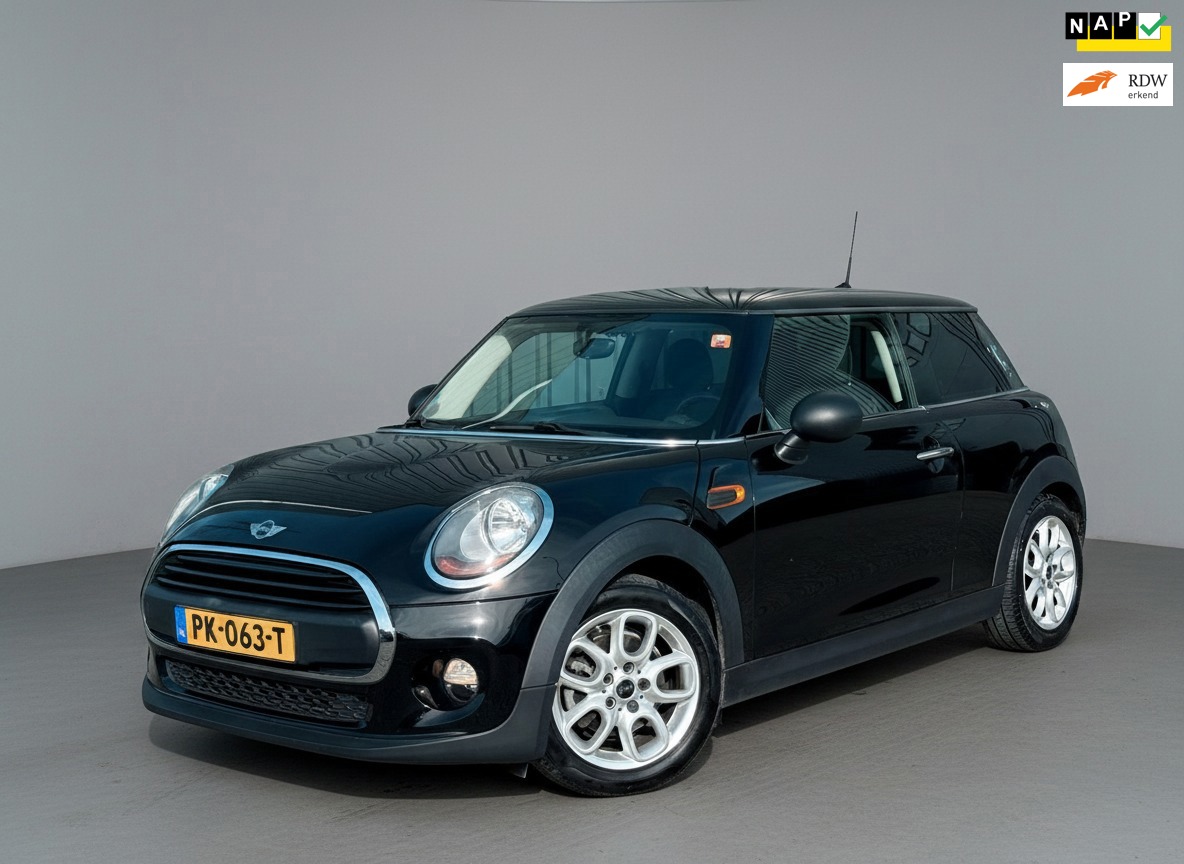 Mini Mini 1.2 One Salt Business