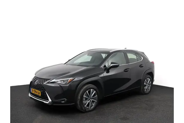 UX 300E Business 54 Kwh