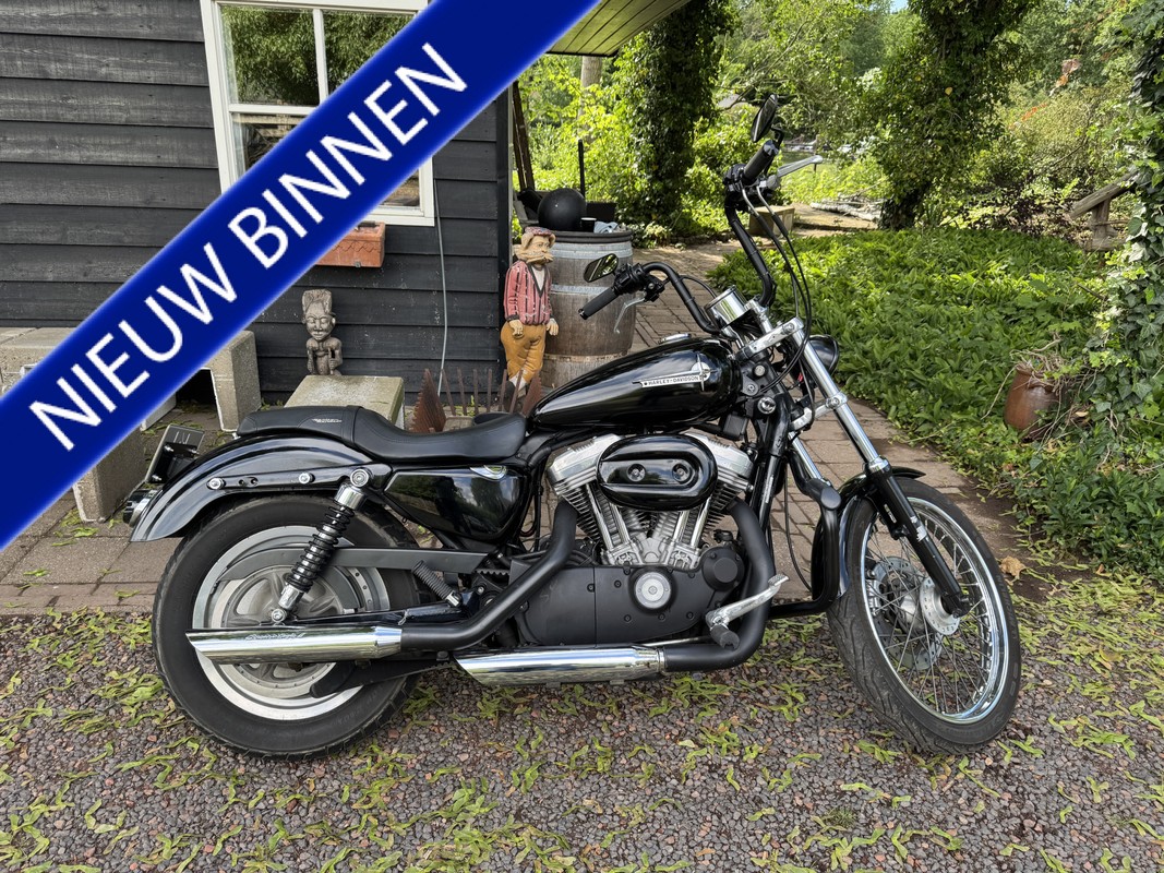 Harley-Davidson XL 53C Custom 53