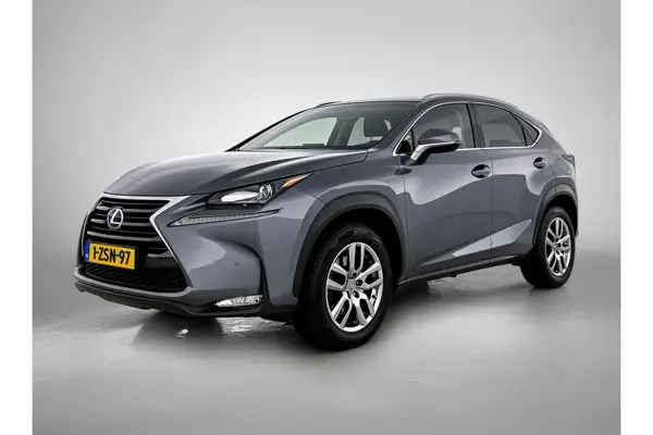 NX 300H Awd Business Line Pro