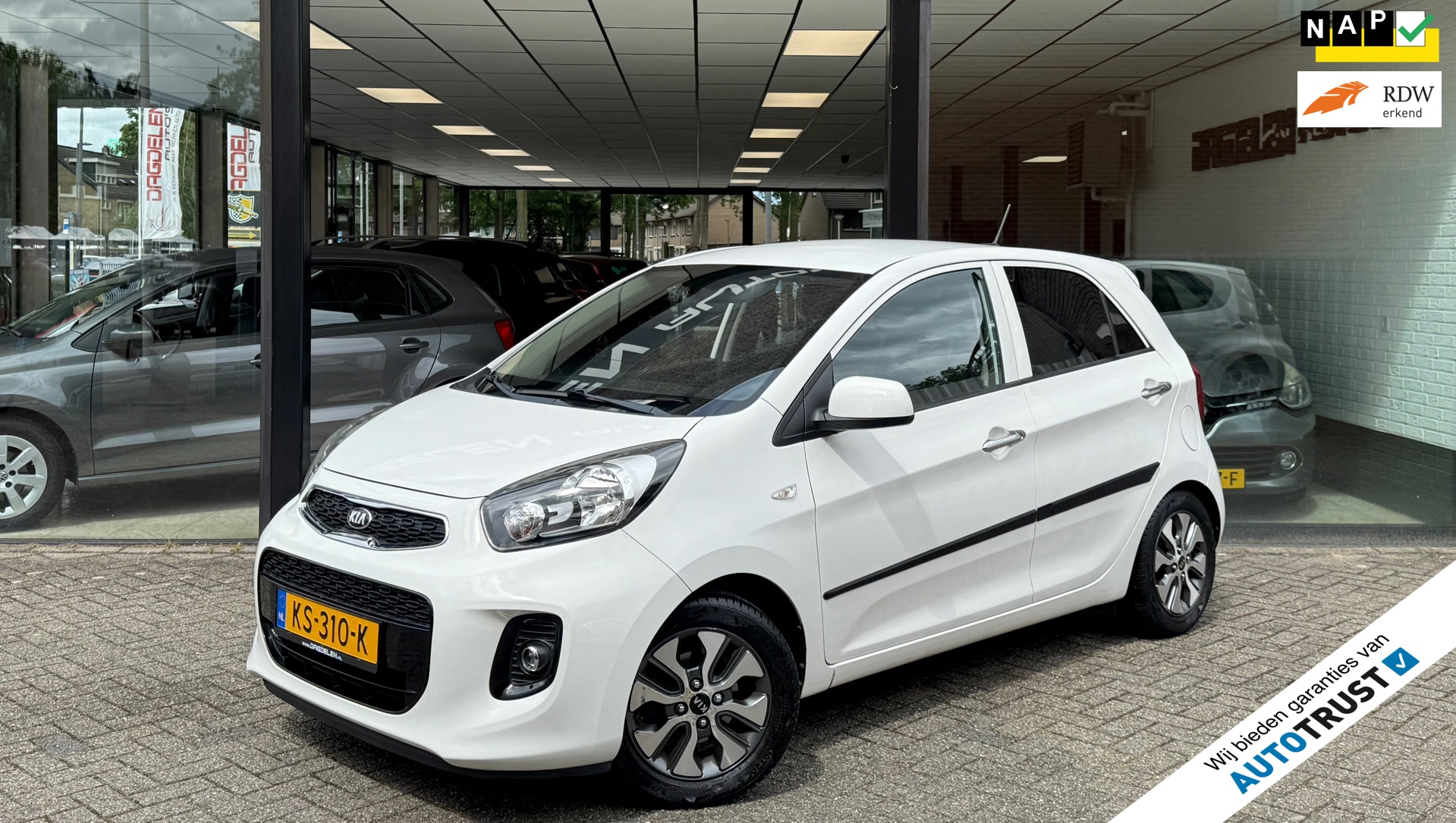 Kia Picanto 1.0 CVVT 2e EIG | NAVI | CAMERA | CRUISE | LMV | NAP