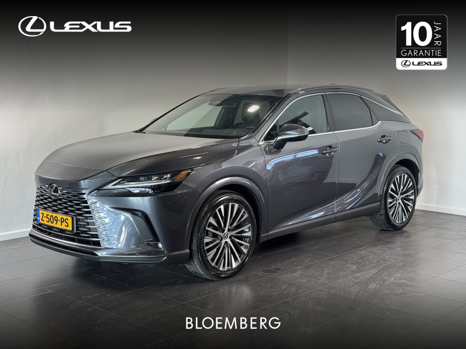 Lexus RX 450h+ Plug-in Hybrid Luxury Line